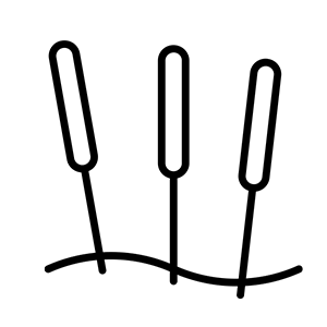 Punción Seca